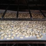 Roast pumpkin seeds on a parchment lined baking sheet