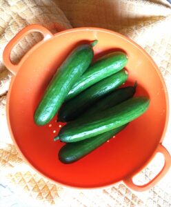 persian cucumbers