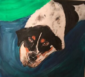 portrait of my friends dog Miley mix breed portrait of my friends dog Miley mix breed