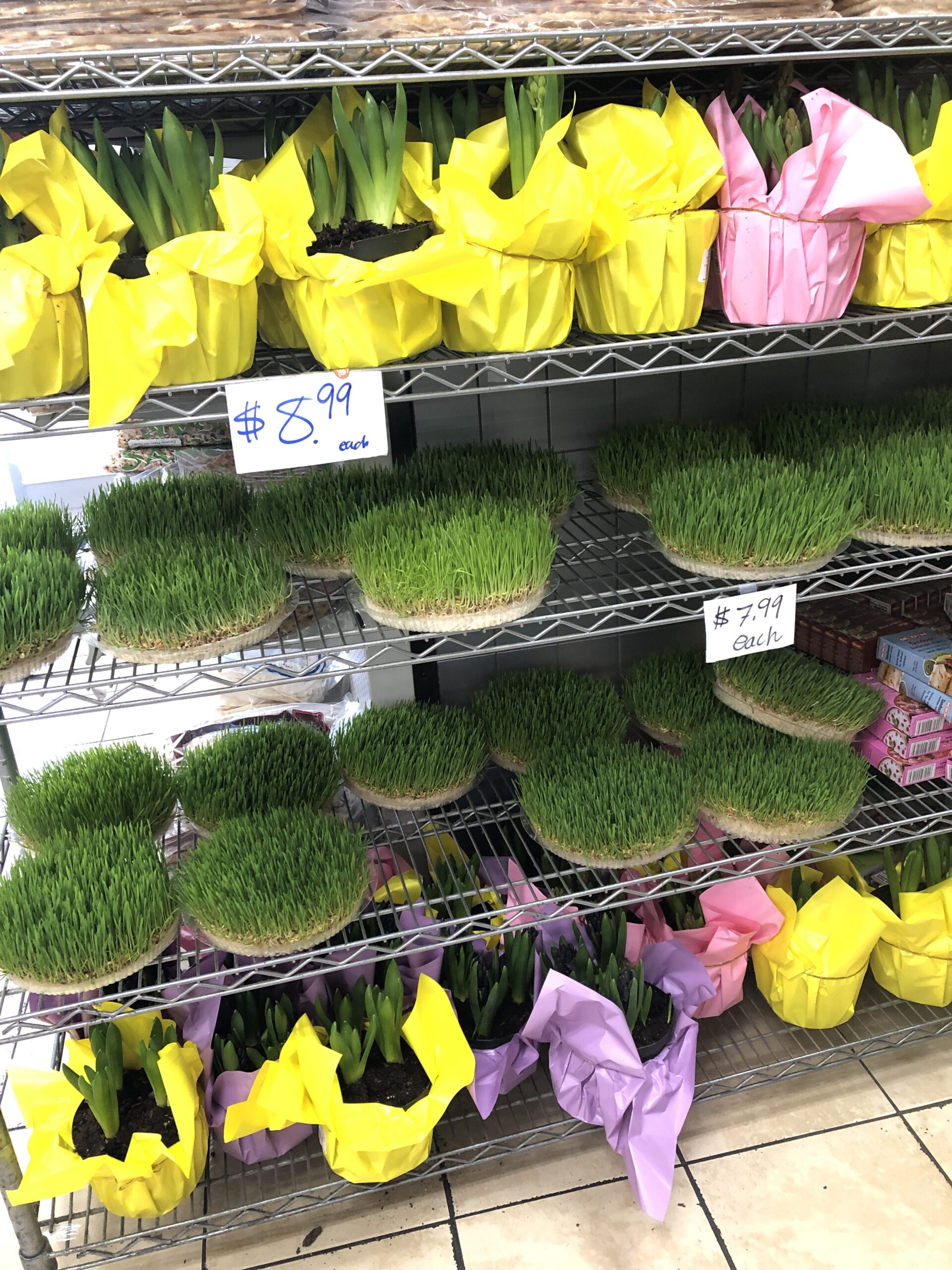 Persian New Year haft seen spread