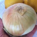 onion