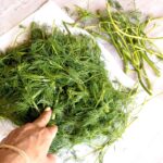 fresh dill for fava bean Persian layered rice