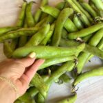 fresh whole fava beans