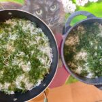 layering polo rice with fresh dill, garlic, saffron, and fava beans