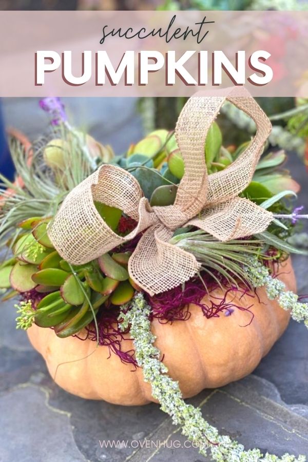 Succulent Cinderella Princess Pumpkin